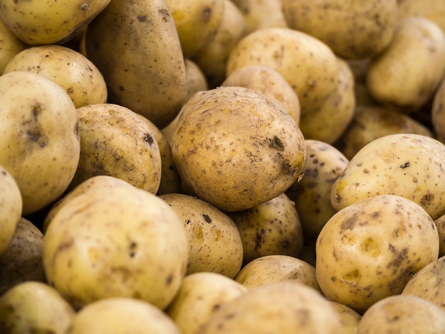 Patate da vendere al mercato ortofrutticolo. Le patate fresche biologiche si distinguono tra molte patate di grandi dimensioni di fondo nel mercato. Cumulo di radice di patate. Focalizzazione morbida