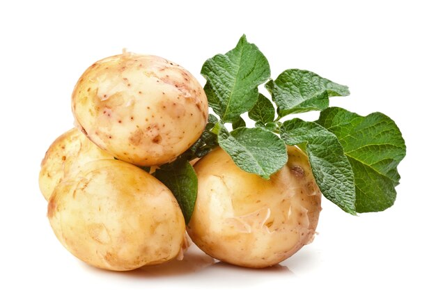 Patate fresche con foglie verdi isolati su sfondo bianco