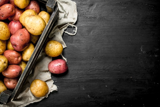 Patate fresche in una vecchia scatola. Sulla lavagna nera.