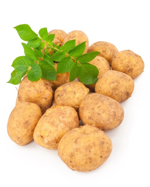 Patate gialle con foglie su un bianco