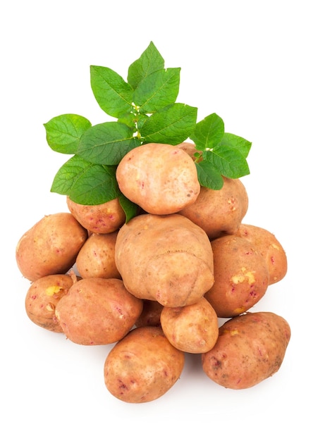 Patate rosse con foglie su un bianco
