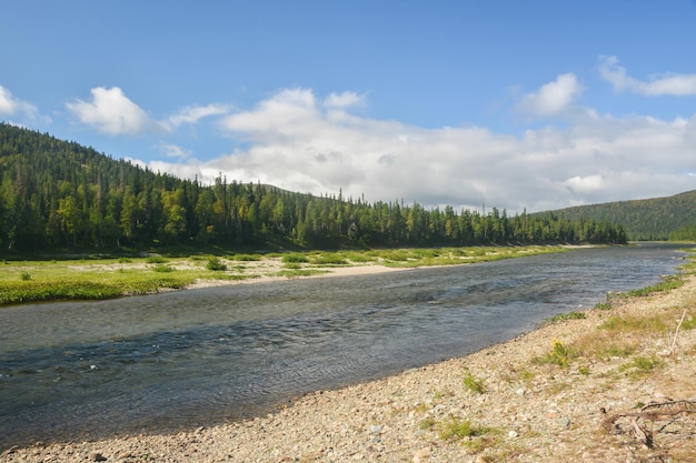 Patrimonio mondiale dell'UNESCO Foreste vergini di Komi