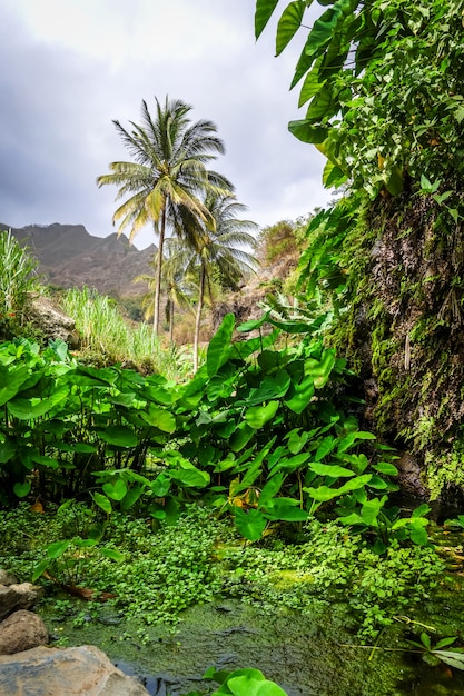 Paul Valley paesaggio nell'isola di Santo Antao, Capo Verde