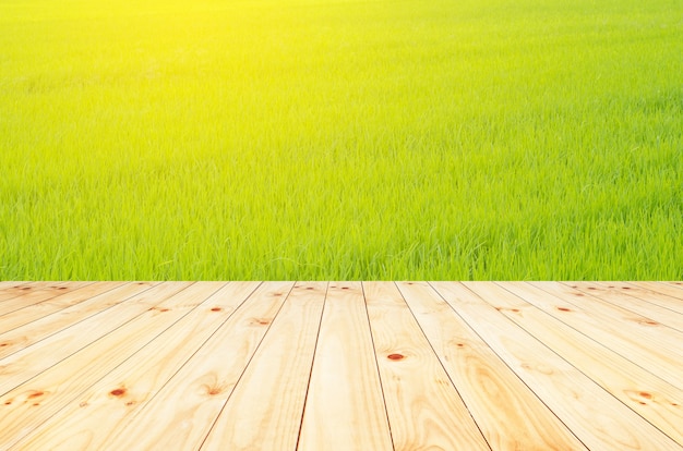 Pavimento in legno con alberi sfocati sullo sfondo del parco naturale e montaggio dell'esposizione del prodotto della stagione estiva