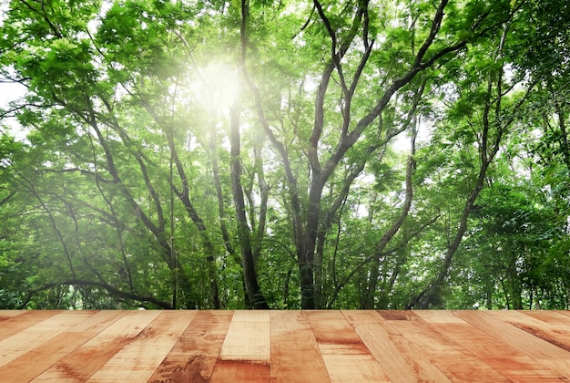 Pavimento in legno strutturato sugli sfondi della foresta.