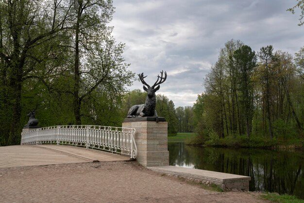 Pavlovsk San Pietroburgo Russia 05142023 Vista del ponte dei cervi Oleniy nel complesso del palazzo e del parco di Pavlovsk in una giornata di primavera