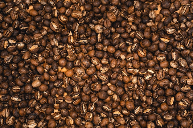 Peaberry Coffee tostato nella macchina in una caffetteria