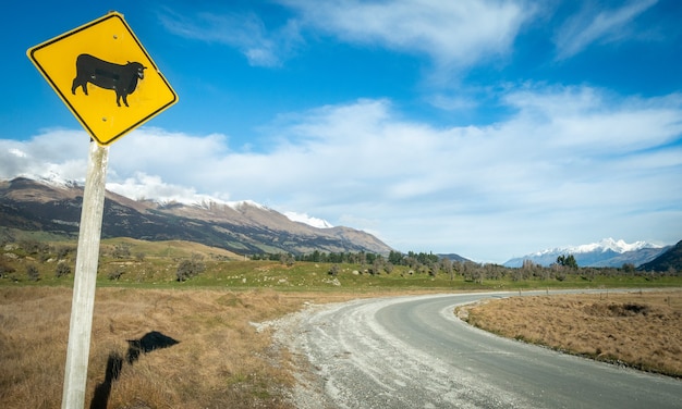 Pecore cartello stradale sul lato della strada sinuosa con sfondo di montagna e cielo blu glenorchynew zealand