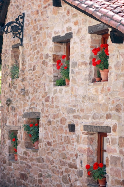 Pelargonio a fioritura rossa