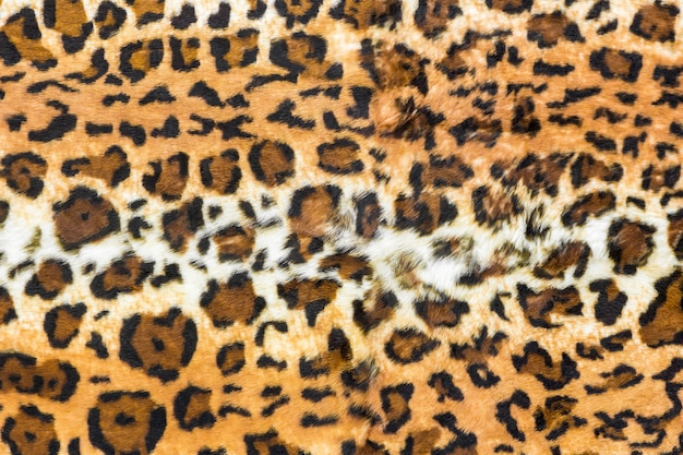 Pelle di leopardo sullo sfondo, stampa animalier