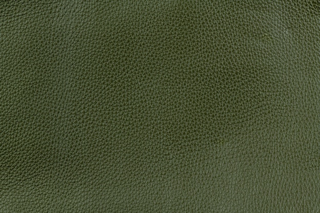 Pelle naturale liscia verde oliva con fondo a grana media