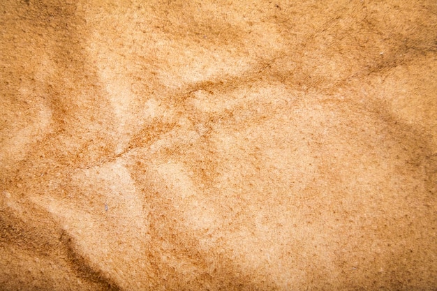 Pelle Texture