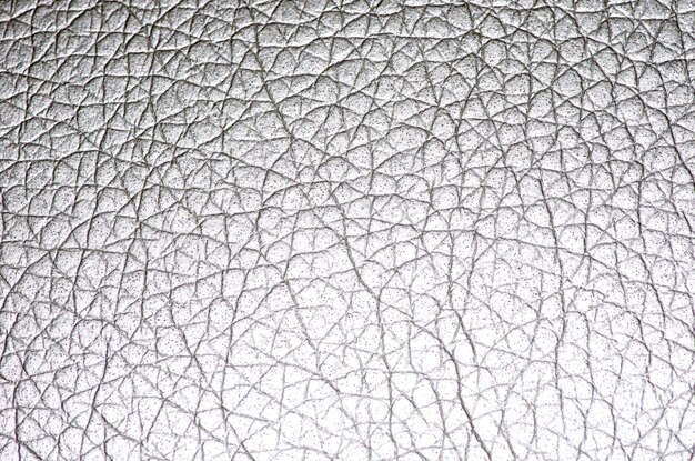 Pelle Texture