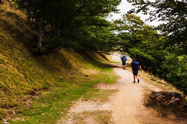 Pellegrini che camminano nel bosco dei Pirenei Camino de Santiago