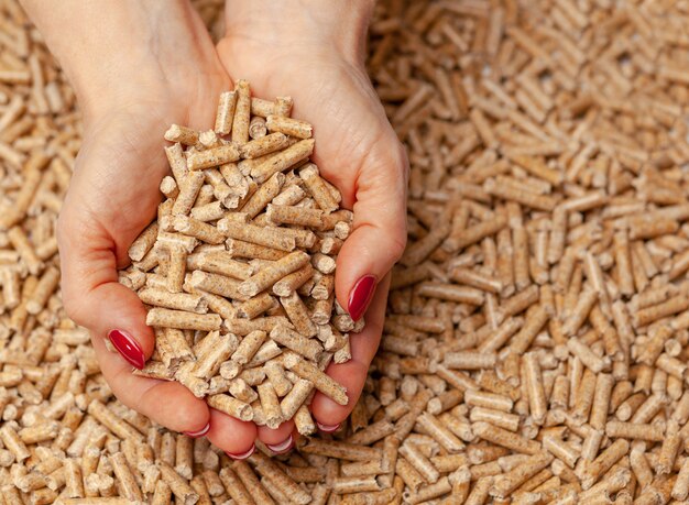 Pellet di legno in mano.