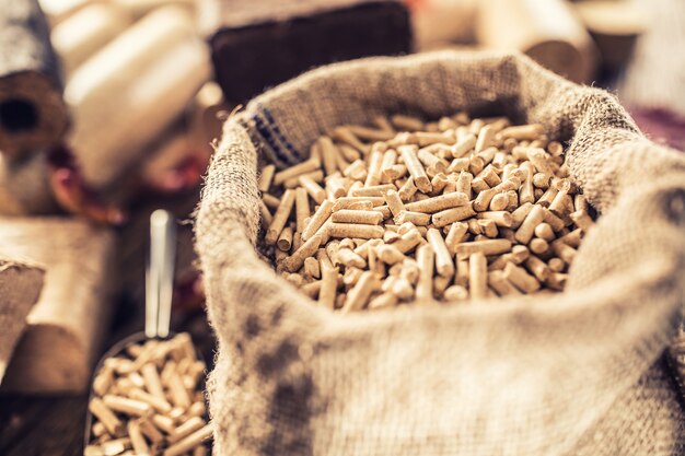 Pellet pressato di legno e bricchetti da biomassa con foglie autunnali.