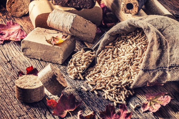 Pellet pressato di legno e bricchetti da biomassa con foglie autunnali.