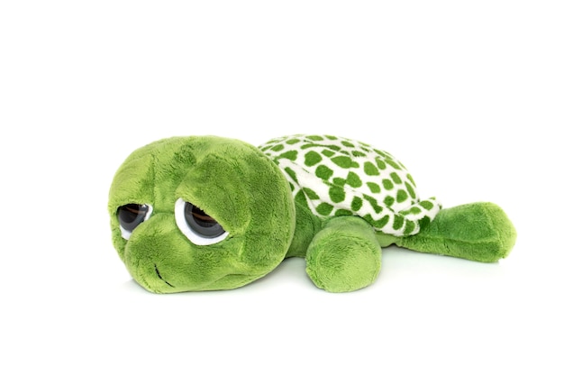 peluche tartaruga verde isolato su bianco