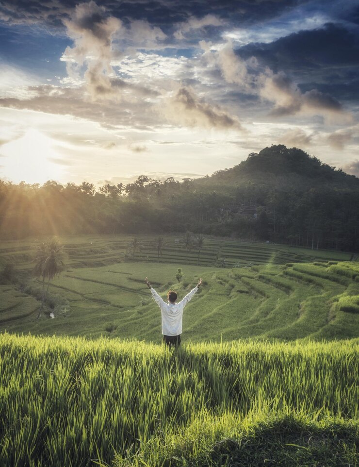 Photo pemandangan indah ladang pertanian dengan latar belakang langit