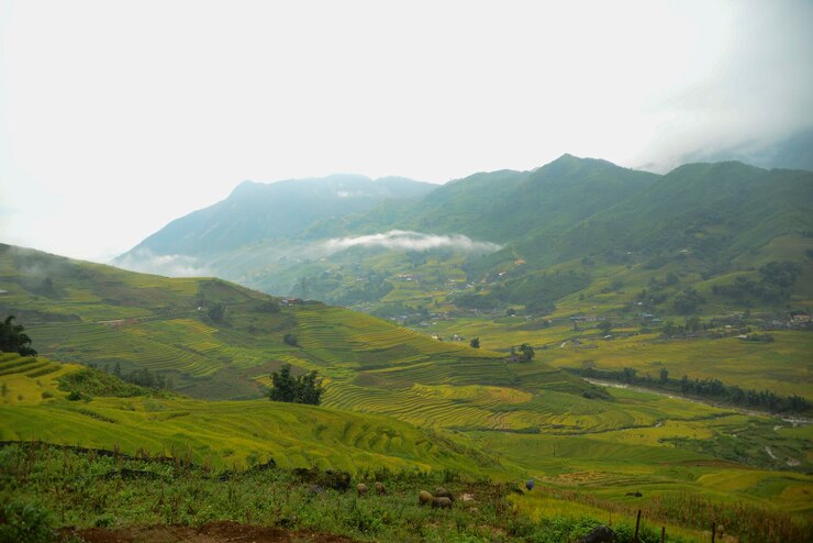 Photo pemandangan indah ladang pertanian dengan latar belakang langit