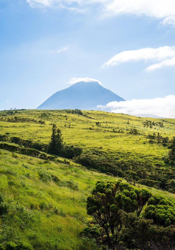 Photo pemandangan indah lapangan dengan latar belakang langit