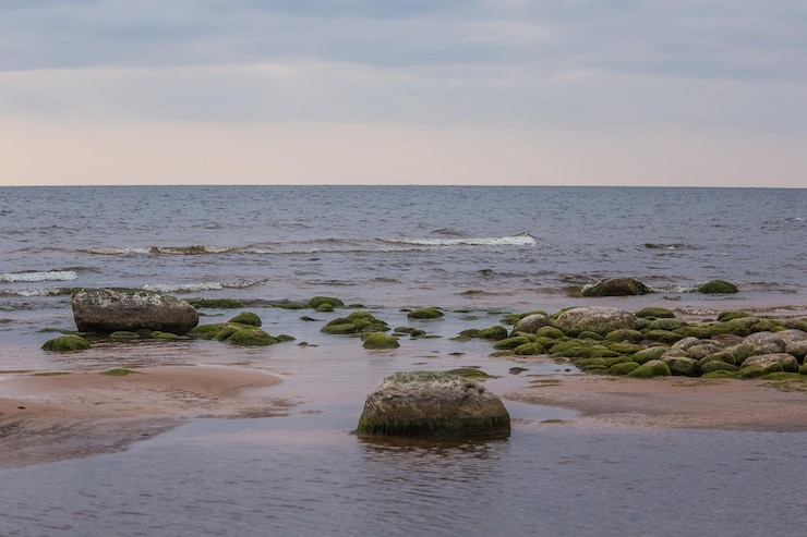 Photo pemandangan indah laut berlatar langit