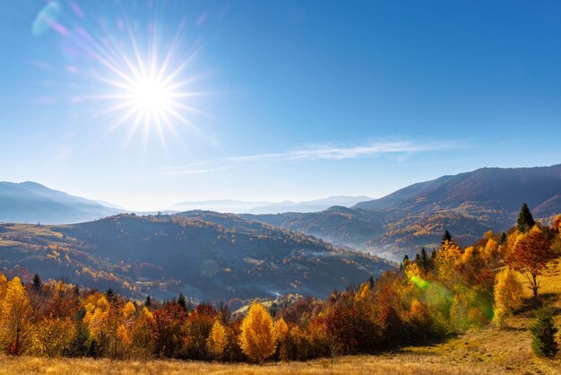 Pendii erbosi con alberi lussureggianti contro le montagne al tramonto