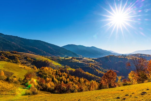 Pendii erbosi con alberi lussureggianti contro le montagne al tramonto