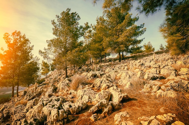 Pendio del Monte Precipizio in autunno Bassa Galilea Israele