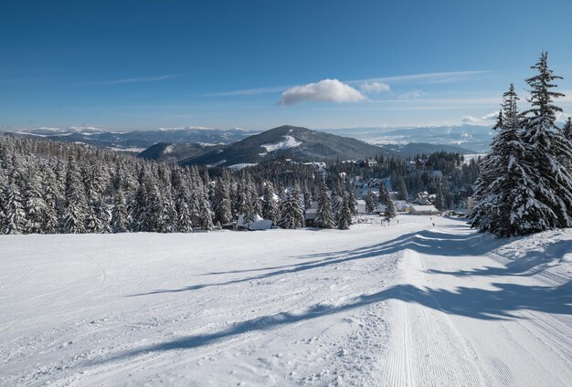 Pendio della località sciistica di montagna coperta di neve Magnifica giornata di sole sulla pittoresca località alpina Dragobrat Ucraina Carpazi Persone irriconoscibili