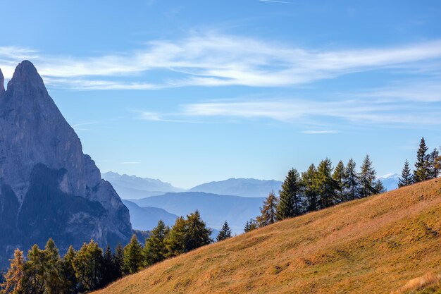 Pendio di montagna con erba autunnale gialla e vista sulla montagna di Punta Euringer Alpe di Siusi Italia