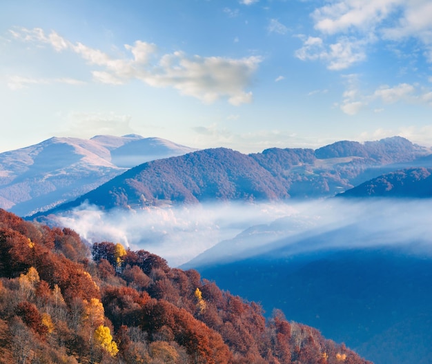 Pendio di montagna in autunno con foresta colorata