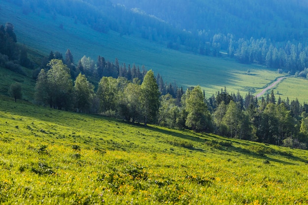 Pendio di montagna nella luce del mattino, sfondo naturale