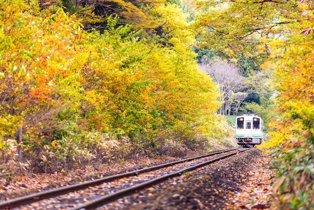 Pendolare bianco del treno Fukushima Giappone