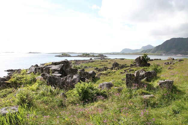 Penisola delle Lofoten in Norvegia