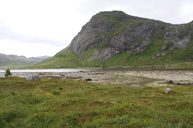 Penisola delle Lofoten in Norvegia