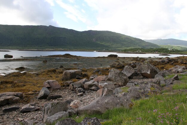 Penisola delle Lofoten in Norvegia