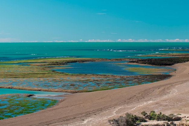 Penisola Valdes mare paesaggio, ot bassa marea, Penisola Valdes, Patagonia, Argentina