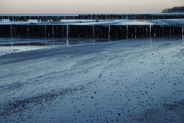 Pennelli su una riva del Mar Baltico Polonia