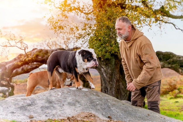 pensionato in giacca con bulldog inglese in cima alla montagna che va a fare una passeggiata nel Peak District