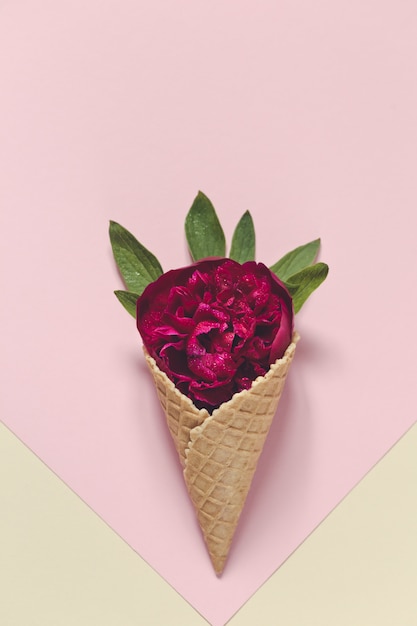 Peonia e foglie in un cono gelato su fondo rosa