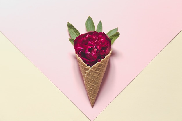 Peonia e foglie in un cono gelato su fondo rosa