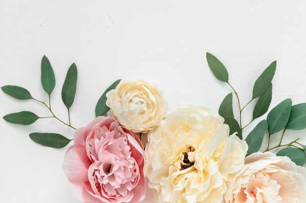 Peonia pastello e fiori di ranuncolo su sfondo bianco