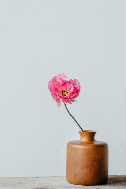 Peonia rosa in un vaso vicino al muro