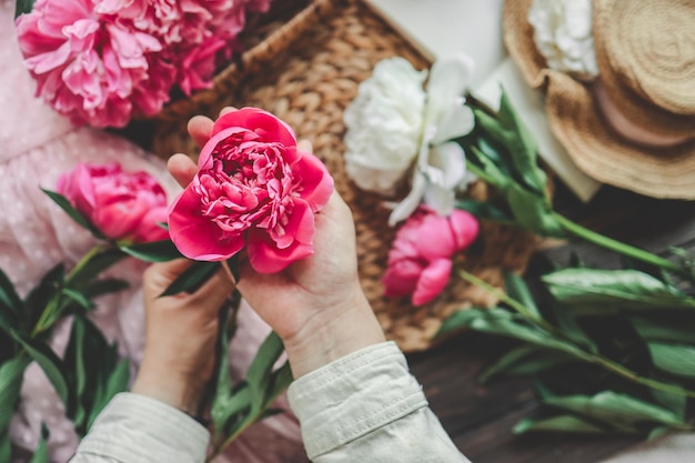 Peonia rosa nelle mani di una foto estetica della ragazza