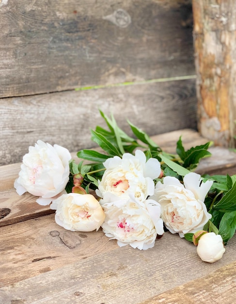 peonie bianche su fondo di legno