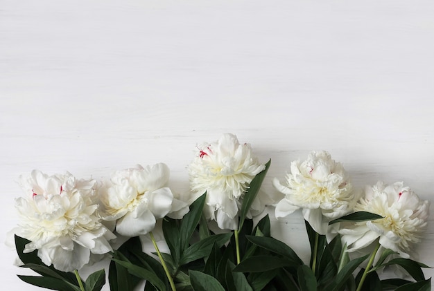 Peonie bianche su legno bianco