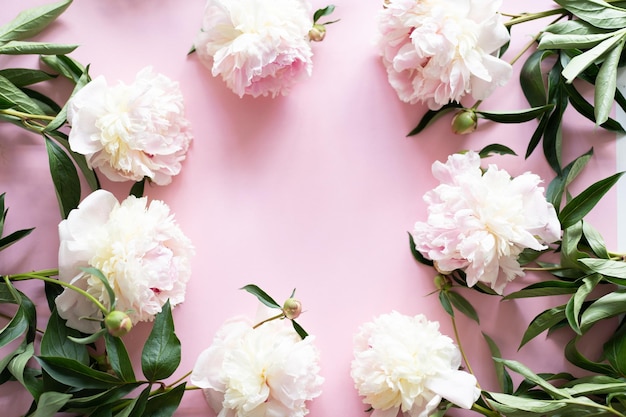 Peonie bianche su sfondo rosa Spazio libero per la tua iscrizione Bellissimo biglietto per le vacanze Festa della mamma Amore e concetto romantico