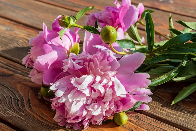 Peonie fiorisce vecchio fondo di legno.