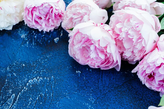 Peonie fresche sul blu